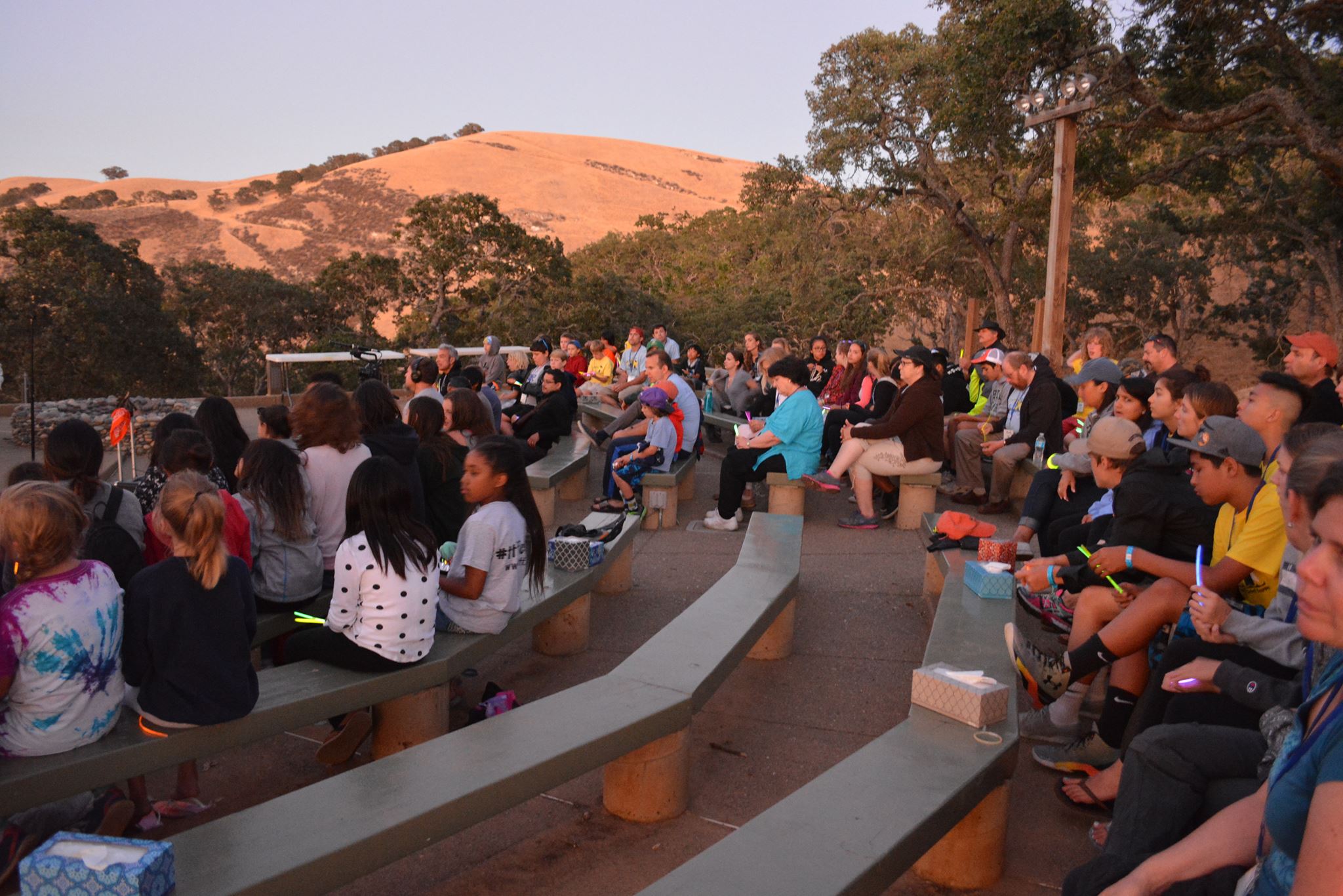 תצוגה מקדימה